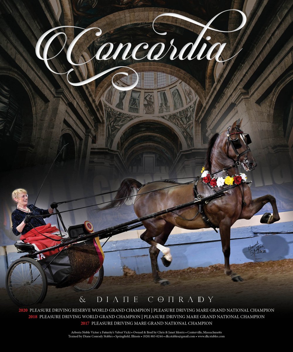 TNH1865's tweet photo. Concordia &amp; Diane Conrady: Pleasure Driving Reserve World Grand Champion and Mare Grand National Champion #nationalhorseman @morgangrandnational #dianeconrady #morris #dianeconradystables #pleasuredriving #morganhorse https://t.co/ul2QnkTUdB