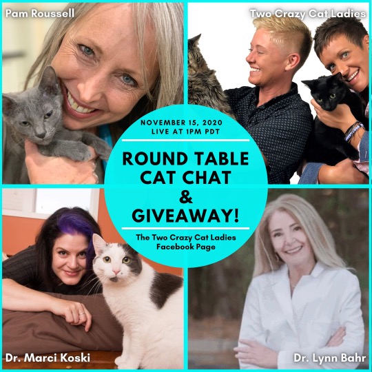PurrrfectlyH's tweet image. Catastic events, client testimonial, cat experts and more | Purrrfectly Holistic | #cats #catexperts #catlovers #excitingevents #joinus #catbehavior #cathealth conta.cc/35atuUU