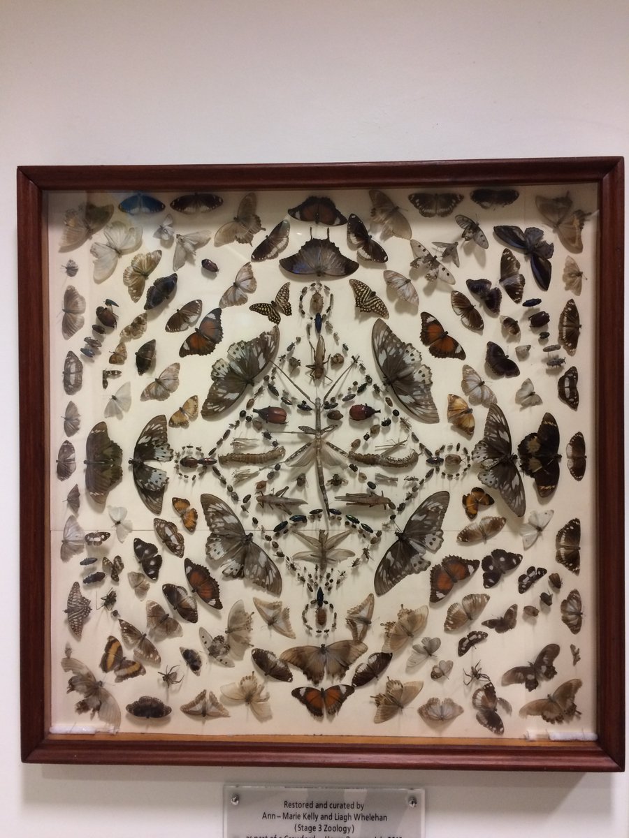 Today I discovered the West Wing!