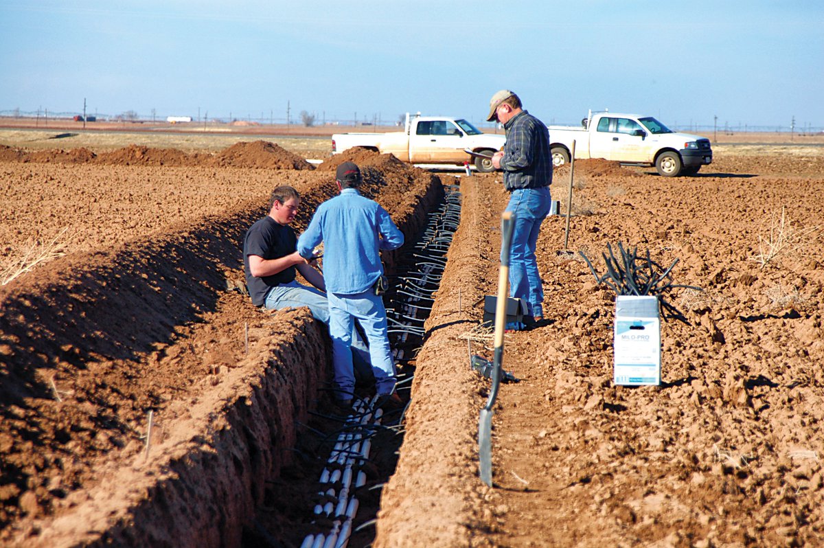 Two top researchers share what you need to know related to current research focused on two different methods of irrigation: mobile drip and subsurface drip. Read more in Irrigation Today: buff.ly/2UmuHC4