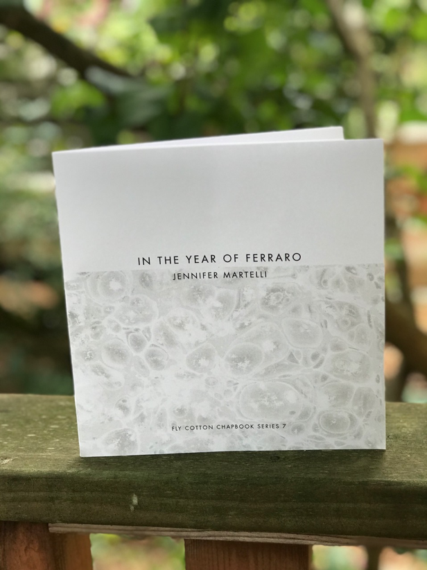 broadsidedpress's tweet photo. Check out the new #BroadsidesToBooks, "The Personal is Political."
This review by Deborah Bacharach covers Jennifer Martelli's new chapbook, "In the Year of Ferraro."
Find the review here: https://t.co/fCsI44SsML https://t.co/s6Yjj9phpJ