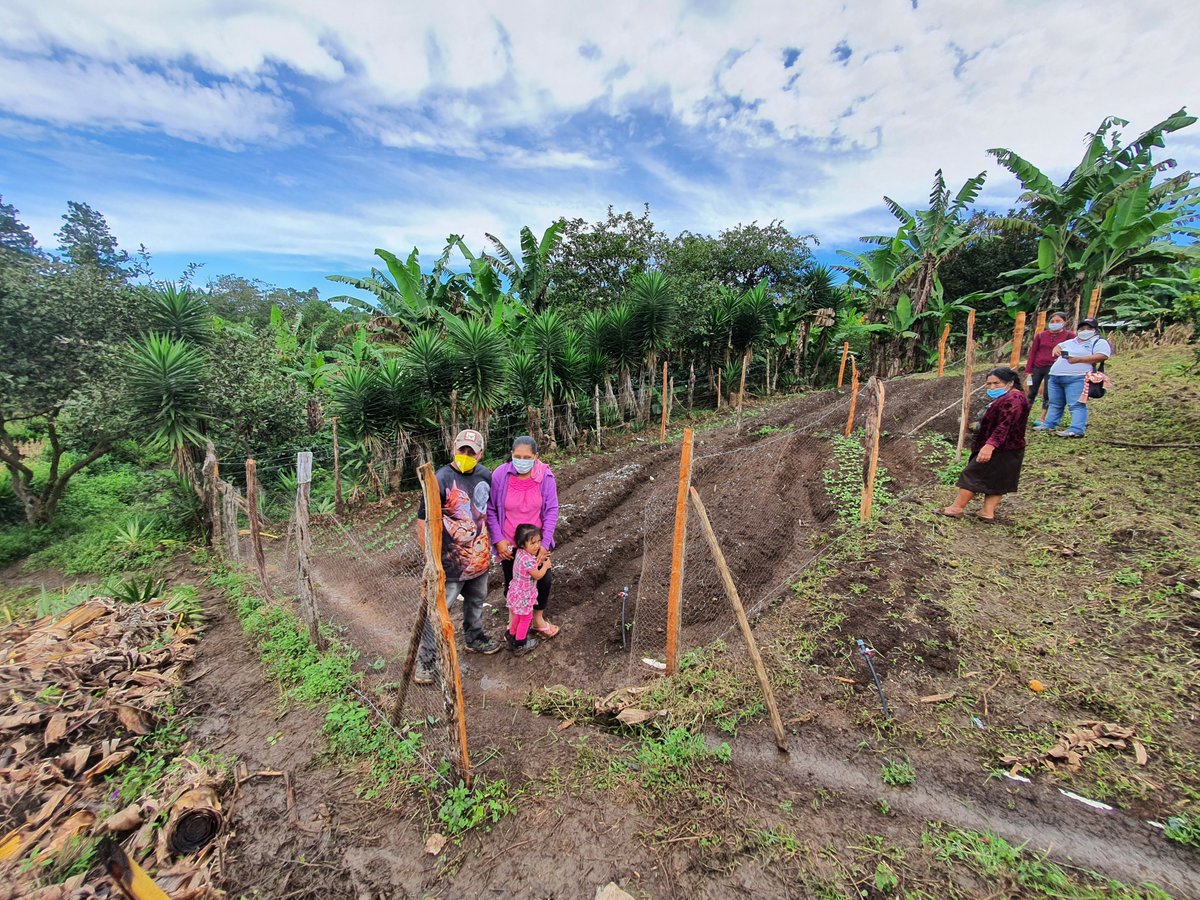 DestinationQSF's tweet photo. 🌎Au Honduras, le #projetQSF a été réaménagé pour faire face aux difficultés engendrées par la #COVID19. Avec l’appui de @SUCO_org et de son partenaire FIPAH, la communauté a entrepris la production de semences et l’établissement de potagers familiaux.🌱🌽
📷Jean-Philippe Gélinas https://t.co/j17abu4lYE