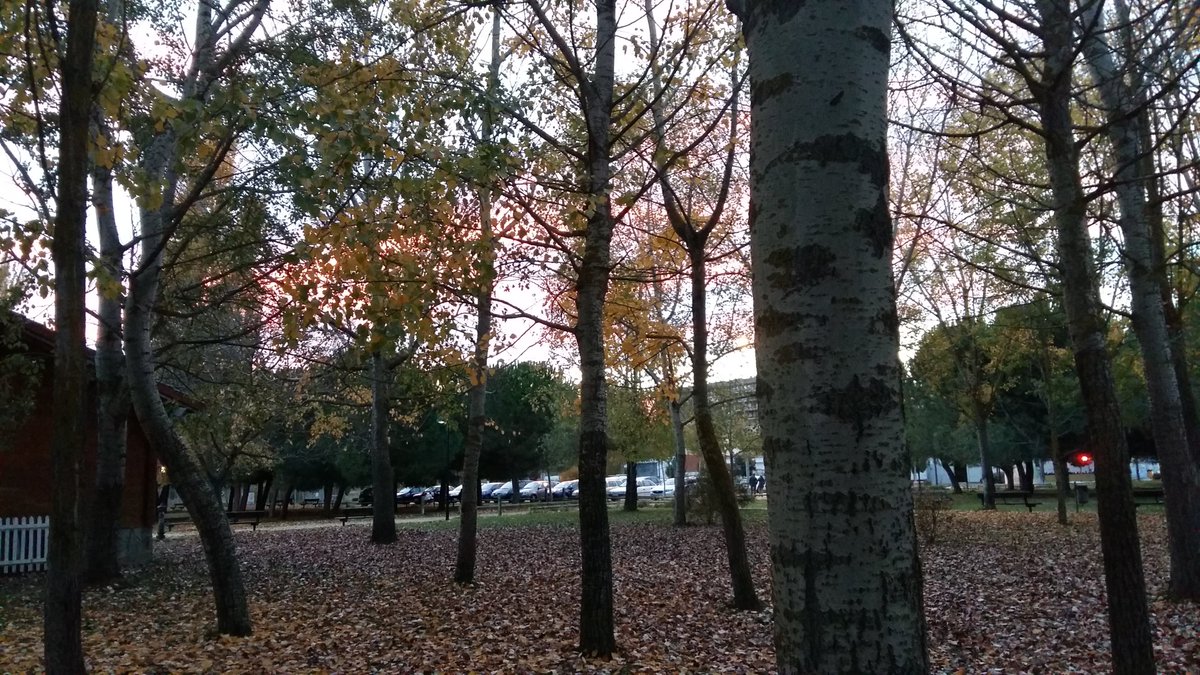Flix26644251's tweet photo. La dimensión religiosa es como un árbol que necesita regarse para que pueda crecer y dar fruto
#ConReliEsMas https://t.co/hpLntaw020