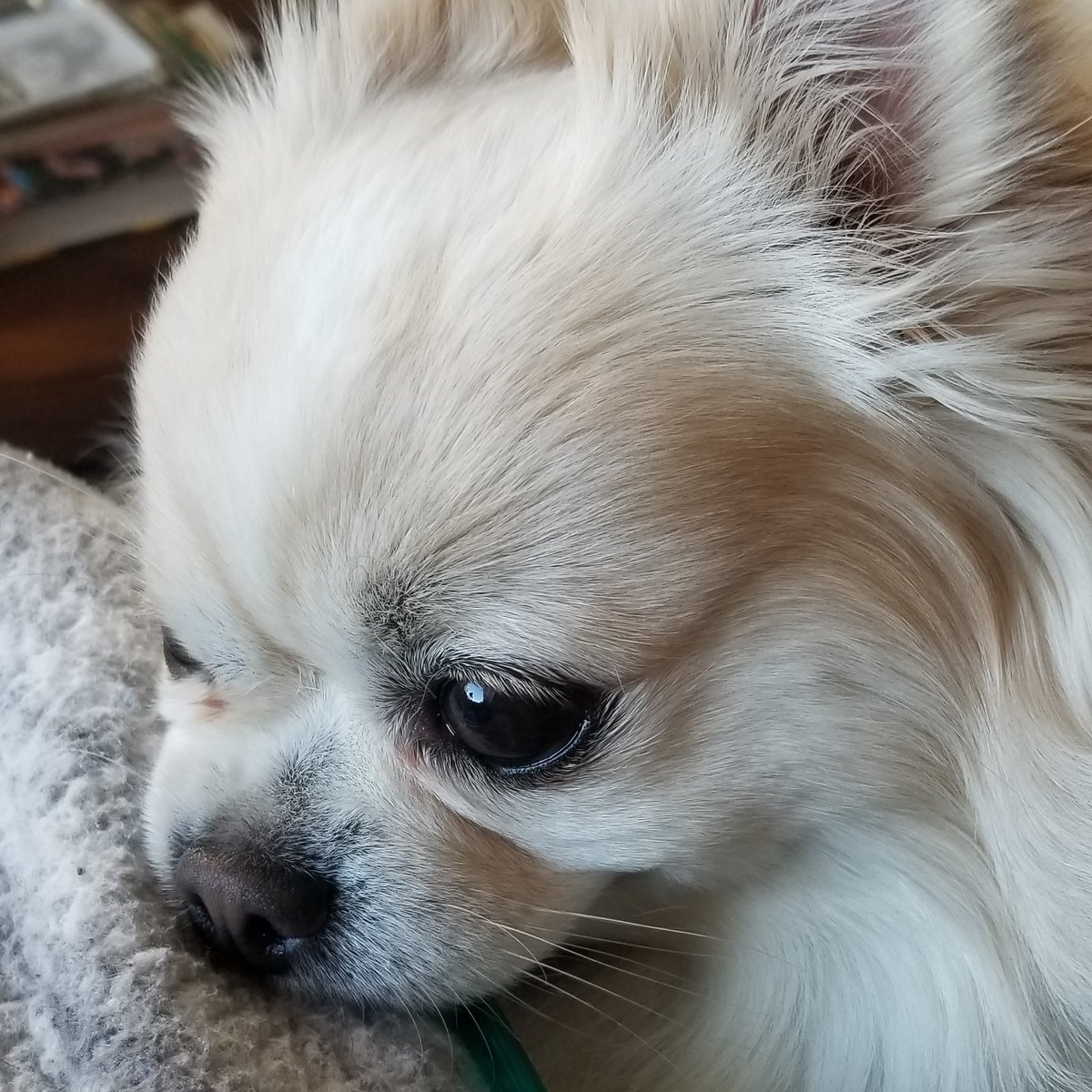 lizh391's tweet photo. #NewProfilePic https://t.co/THA1kYvQzM