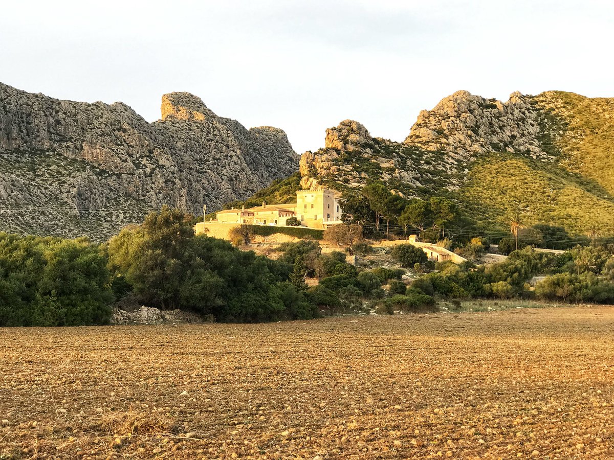 LesleyAtterwill's tweet photo. #Boquer #PortDePollença https://t.co/cz4z7YnLyC