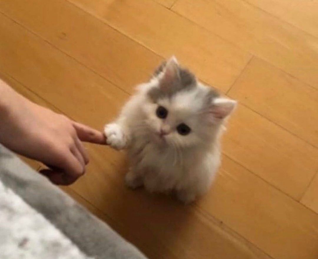 şu aralar şöyle bir desteğe ihtiyacım var