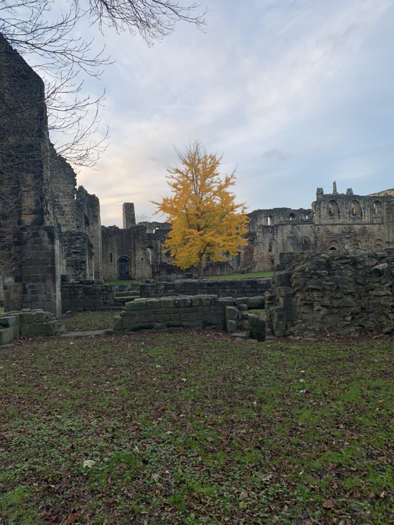 harrypowell261's tweet photo. @campbellclaret Kirkstall abbey https://t.co/mA6hlGkwWj