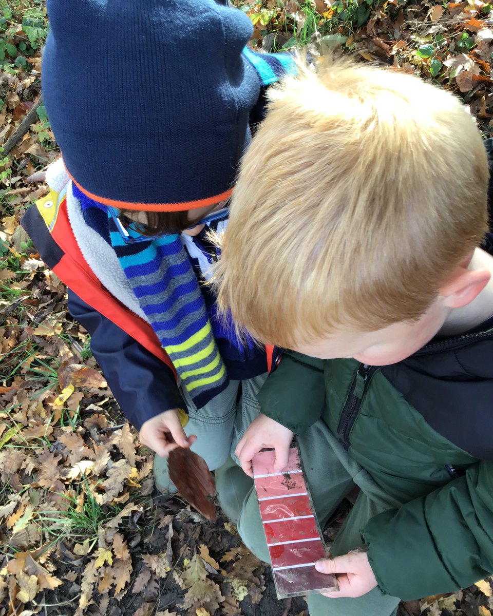 EyfsLakeside's tweet photo. We played colour snap, looked around Forest School for things to match with our colour cards and enjoyed exploring. https://t.co/rSmGfE4DQD