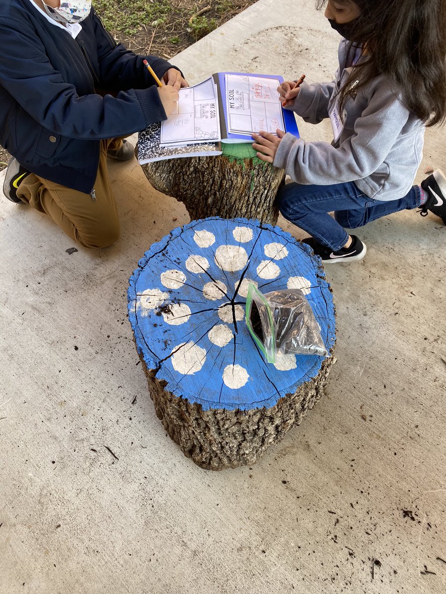 MsDJGray's tweet photo. It is a beautiful day to some time in our outdoor classroom to learn a little about soil! Even virtual kiddos got to join in with us! @HBGonzalezPLA https://t.co/jXVNieEAlX