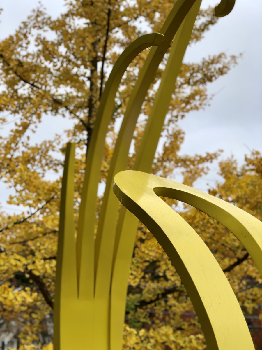 artsguild's tweet photo. "Winter is an etching,
Spring a watercolor,
Summer an oil painting,
And Autumn a mosaic of them all."
-Stanley Horowitz
📸: "Sundrop," Robert T. Webb Sculpture Garden
#thisisyourguild #capturethepowerofthearts #roberttwebbsculpturegarden https://t.co/Qpxu1Drq0M