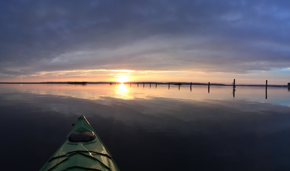 Janet Nye tweet media