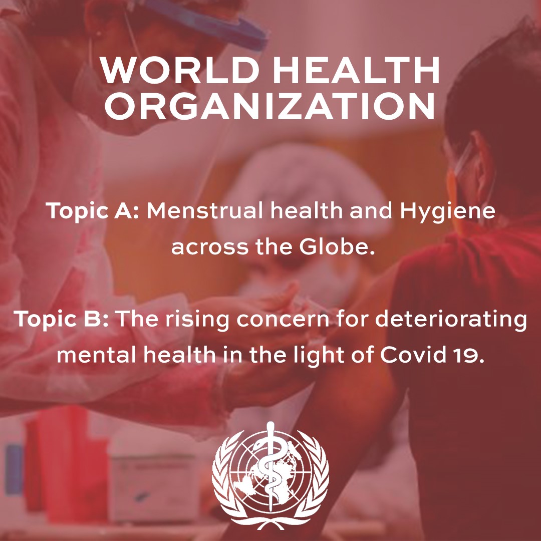 Consejo de Seguridad: Presencial en español (nivel avanzado)
AG 1ª Comisión DISEC (Desarme y Seguridad): Presencial en español 
World Health Organization: Online en inglés