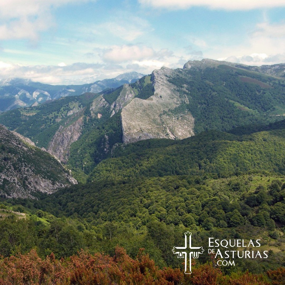EsquelasdeAstur tweet picture