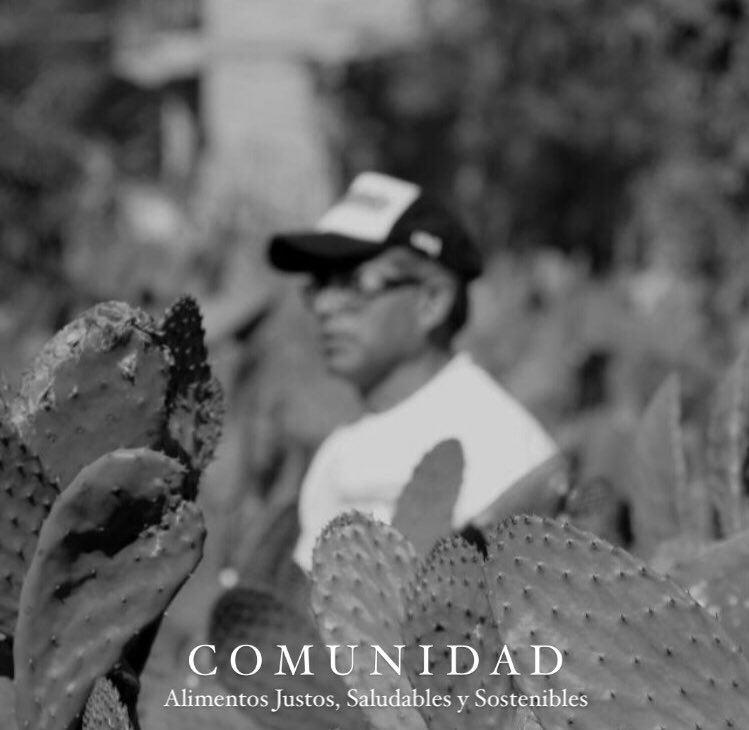 Necesitamos transitar hacia un mejor modelo alimentario, donde se muestre desde el productor , distribuidor , expertos en el tema y juntos logremos alcanzar el objetivo. Es necesario pasar de las palabras a la acción.