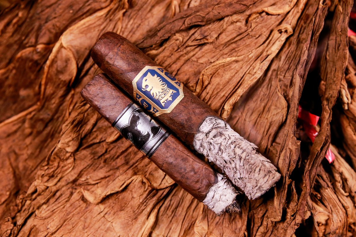 Experience ACID tweet media