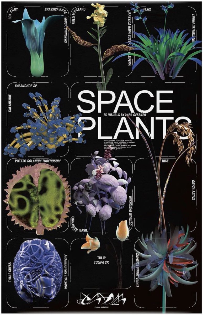 PLASMA_magazine's tweet photo. SURPRISE! 🌱🌸🛰

In every PLASMA 6 copy we���ve planted a giant #SPACE PLANTS Poster 💚👀

These plants stand out from the crowd for their ability to adjust more easily to the harsh space
environment. SPACE PLANTS are grown on space stations, in so called space gardens. https://t.co/3yY3jtWpAS