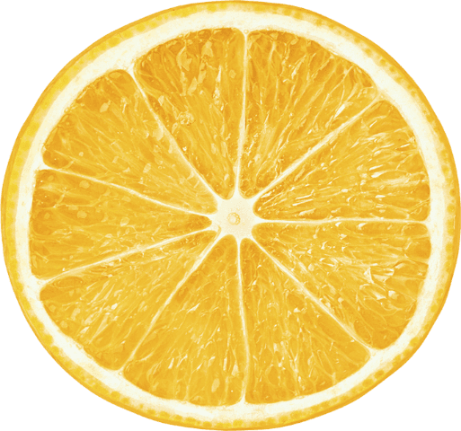 fv_cityhall's tweet photo. Asian Citrus Psyllid and Huanglongbing https://t.co/efGB5Rl3DN https://t.co/oE2dWw6v3e