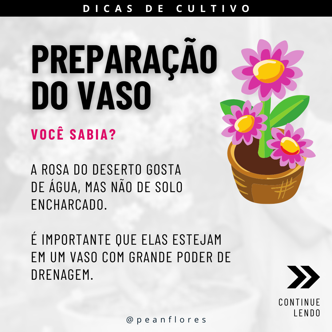 Pean Flores - Rosas do Deserto on Twitter: 