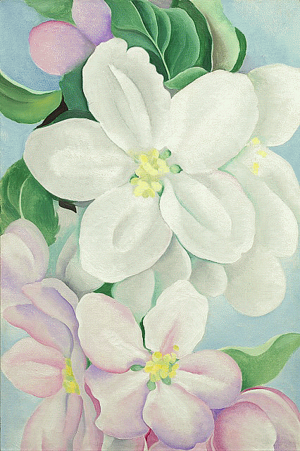 nelson_atkins's tweet photo. Flowers or candy? Happy birthday to two artists born Nov. 15 #onthisday: Georgia O’Keeffe in 1887, "Apple Blossoms" is on view in American Art; and Wayne Thiebaud in 1920, "Jawbreaker Machine" is on view in Contemporary Art. https://t.co/Yeyw5rsJVQ