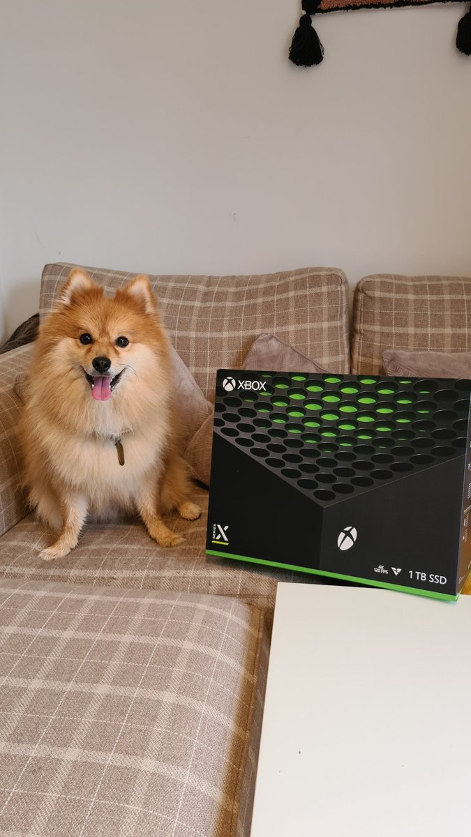 JackLewis10's tweet photo. @IGN @Gameonysus New family portrait. #XboxSeriesX https://t.co/i3K8jpah9d