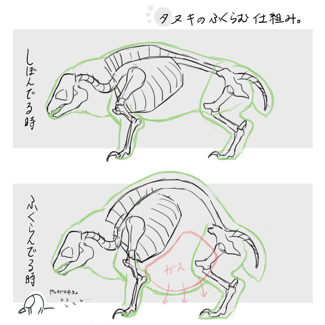 Monster Hunter Rise Concept Art: Bombadgy anatomy. ?? #MHRise 