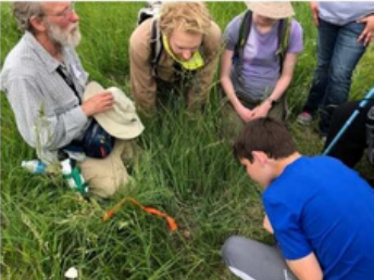 sumdawg's tweet photo. @theTroi A6. One of the most important benefits of conducting or participating in a #BioBlitz is getting people excited about nature! When people know about the incredible diversity surrounding them, they are more likely to work to conserve it in their everyday lives. #CitSciChat https://t.co/SBIXeJxATL