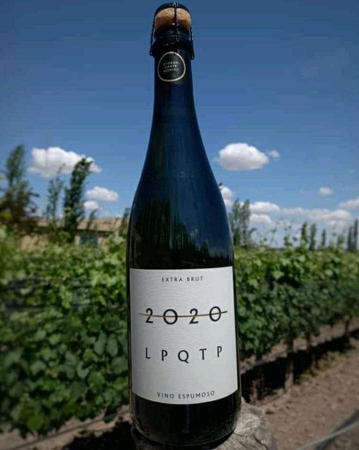 soyelmismodeant's tweet image. Bodega Dante Robino lanza una botella particular para despedir 2020 #LPQTP, "Los Proyectos Que Te Propongas..."