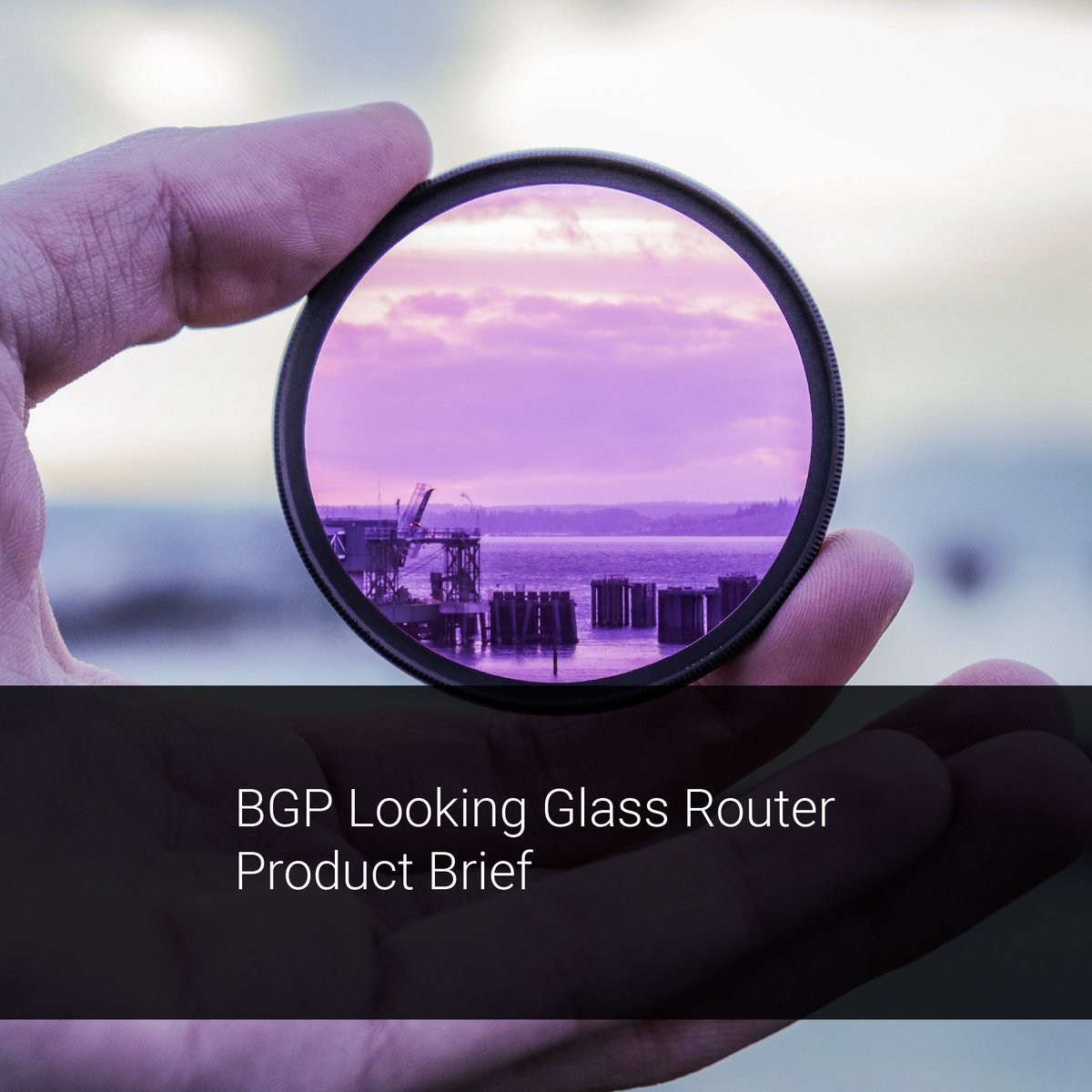 Kaloom_Inc's tweet photo. Kaloom's #Cloud #Edge and #SoftwareDefined Fabric solutions now feature #BGP Looking Glass Router functionality, a specific implementation of our existing #vRouter product offering. Read our new #ProductBrief here: https://t.co/N421GSLPf2 https://t.co/XV5VtBMG0k