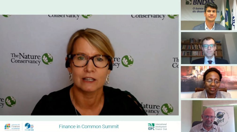 . @JenMorrisNature from  @nature_org"This is not about protecting  #nature for itself. This is about preventing the next  #pandemic and protecting our economies.To reverse the decline by 2030: 8% of annual global GDP will have to be spent."  #FinanceinCommon2020
