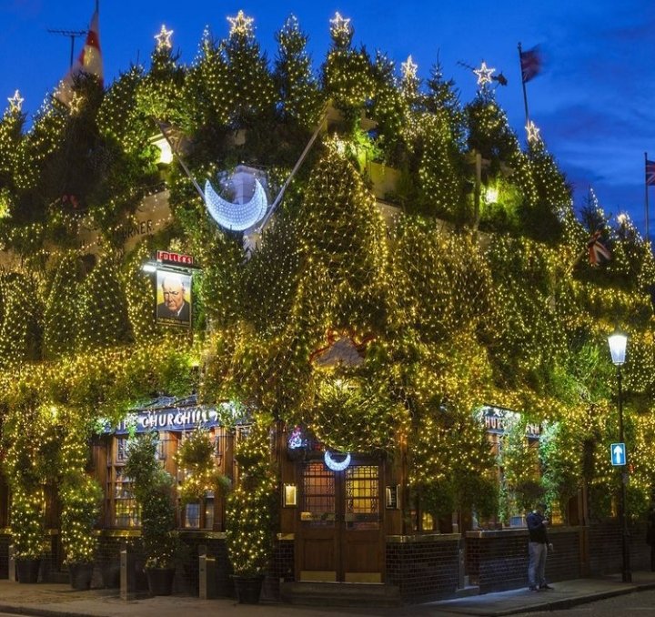 As we all look forward to Christmas (and maybe a pub visit 🤭) we wonder if there is such a thing as too many real 🌲’s ... we think not 😍 #allthetrees