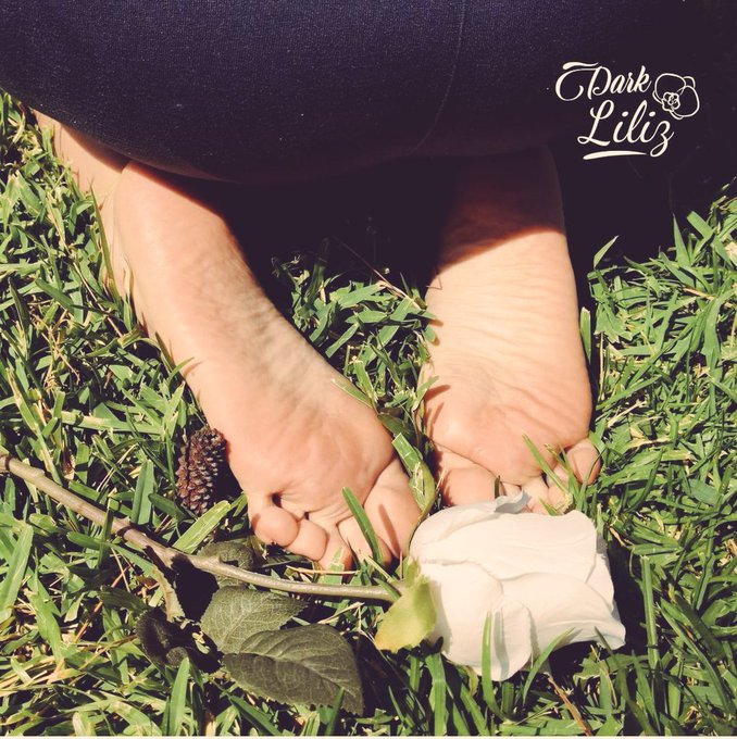 Who likes the smell of grass after a rain? 😘  #feet #gothic #solesfetish #feetfetishworld #feetlovers<a href="/tag/feet"class="tags">#feet</a><a href="/tag/feetlovers"class="tags"><span>#feetlovers</span></a><a href="/tag/gothic"class="tags"><span>#gothic</span></a><a href="/tag/prettyfeet"class="tags"><span>#prettyfeet</span></a><a href="/tag/barefeet"class="tags"><span>#barefeet</span></a><a href="/tag/cutefeet"class="tags"><span>#cutefeet</span></a>