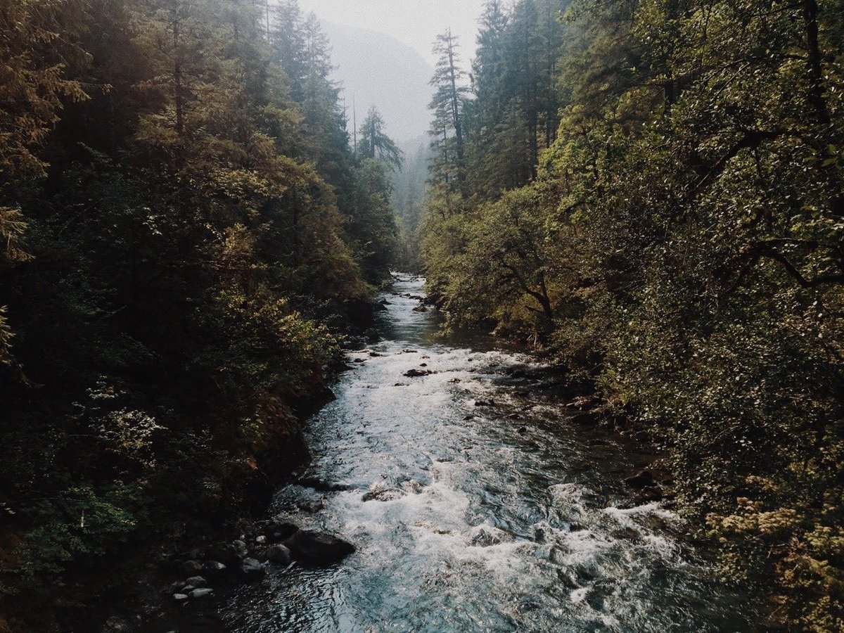 jothesfwhoe's tweet photo. fun fact travel is my job kinda? so heres some of my photography if ur interested i just like sharing it https://t.co/UAe5ikukLq