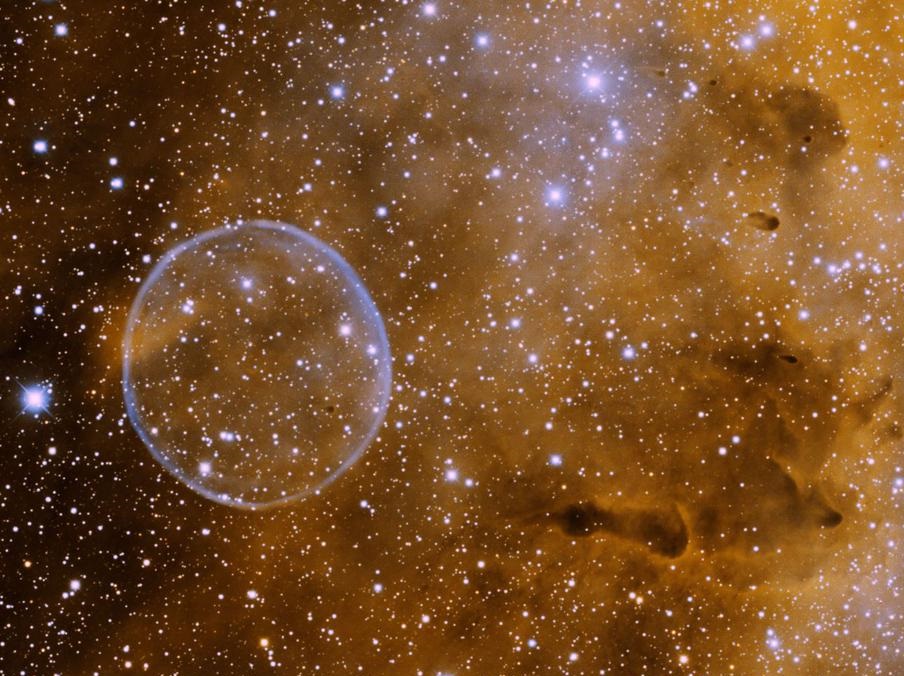 Andrew Rader tweet media