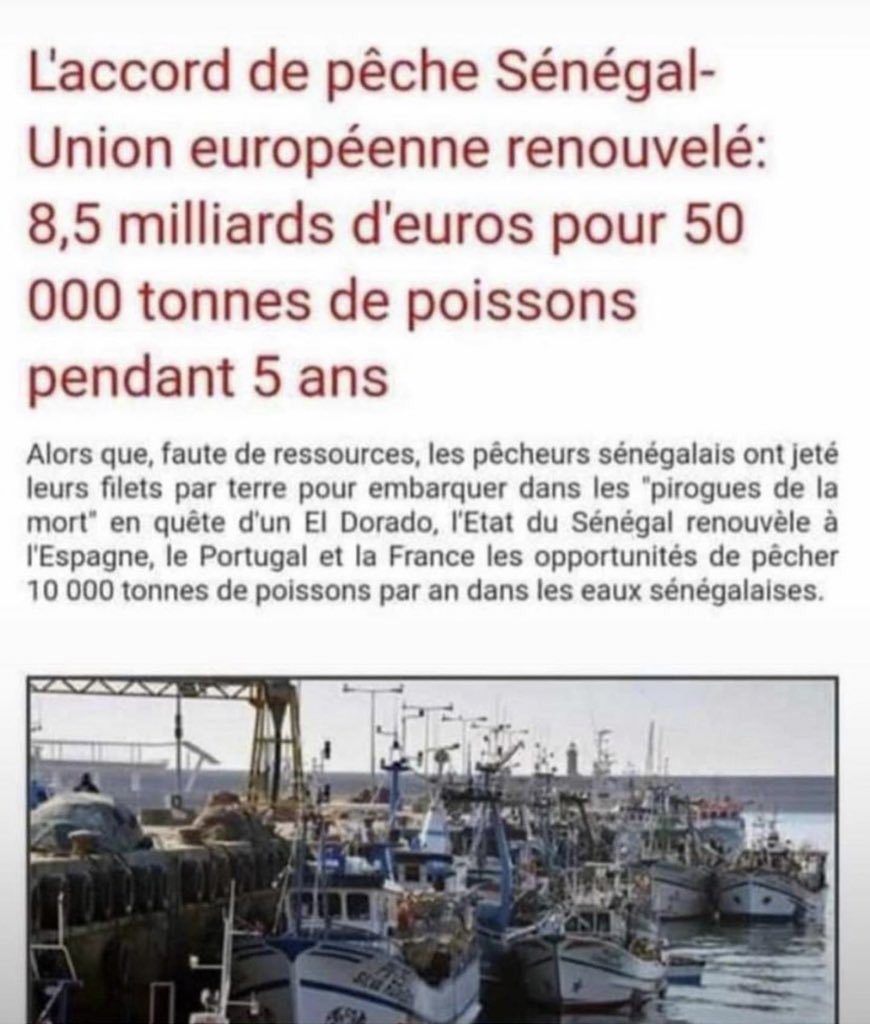 Avec ça vous croyez que nos frères arrêteront l’immigration Clandestine🤦🏾‍♂️. 
Déjà notre écosystème marine commence à perdre certaines de ces espèces 🤦🏾‍♂️. 
<a href="/Macky_Sall/">Macky Sall</a> ngalaway yeureum niou tei bayei niou suniou Tefess gui. 
#DeuilNationalSN
#WhatshappeninginSenegal