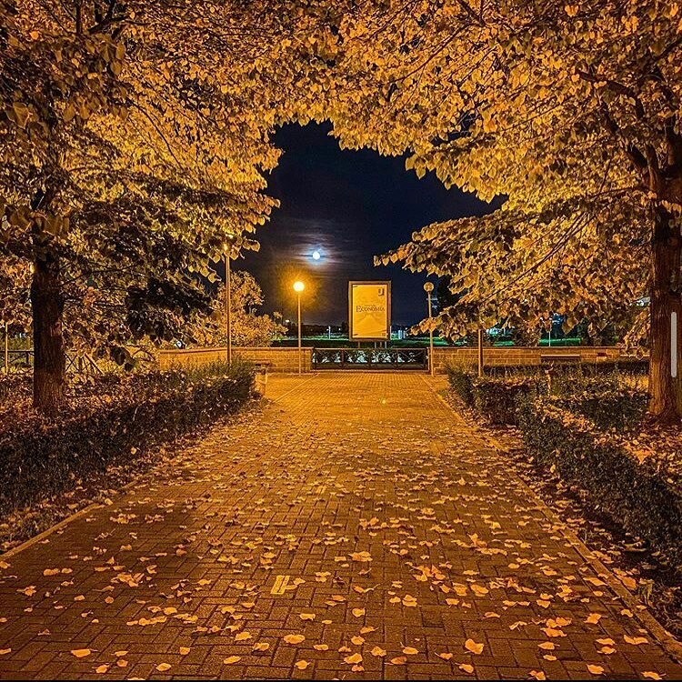 Serate d’autunno #unitorvergata 
📸 @giulianopisicchio 
#economiatorvergata #torvergata #torvergatauniversity #università #studentlife #studyinrome