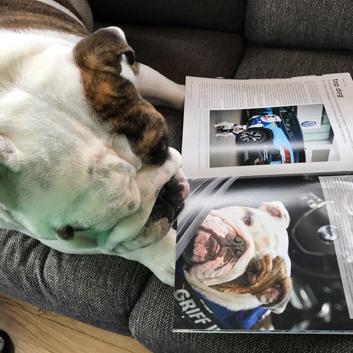 DrakeUGriff's tweet image. I’ve been waiting for this issue of @IowaADA to come out! I am officially a cover-dog. (Excuse me while I mark that off my bucket list w/ a big✔️.) Great article about my partnership w/ @vwdesmoines too! We go together like peanut butter and jelly! #Griffmobile @DrakeUniversity