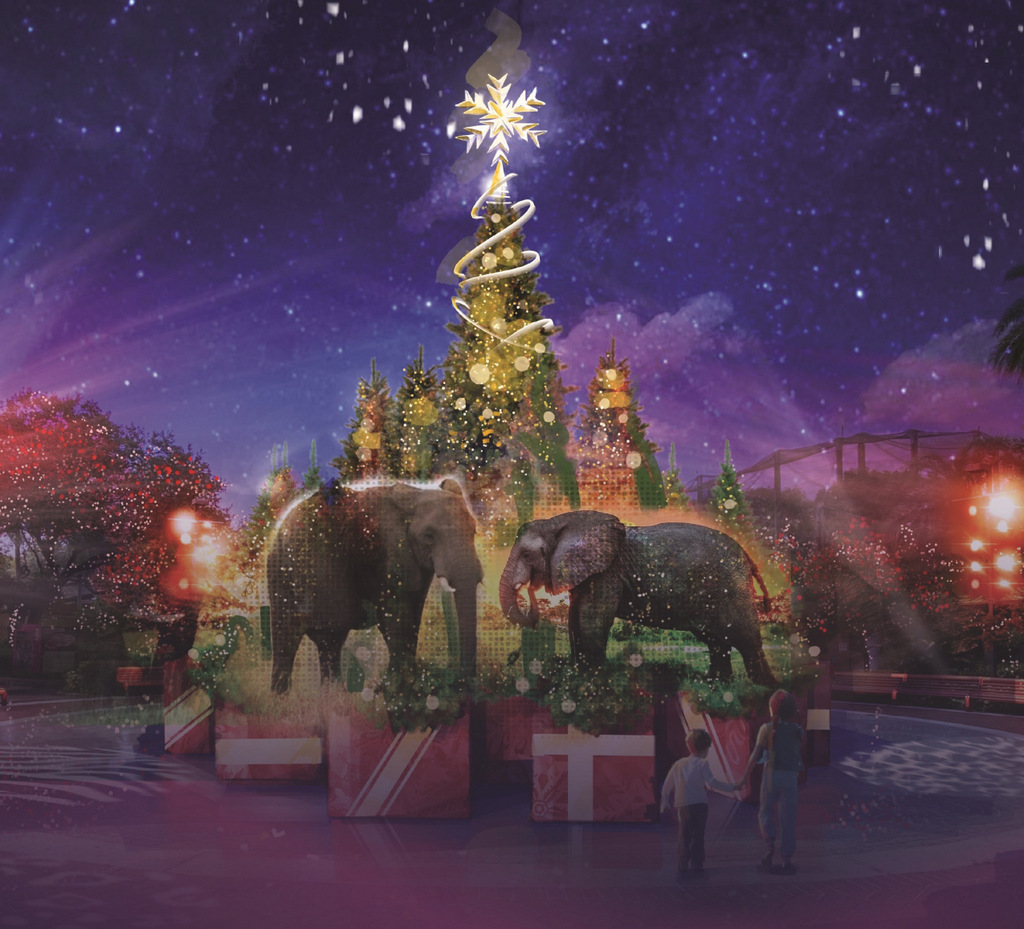 ZooTampa at Lowry Park Visit St Petersburg Clearwater Florida