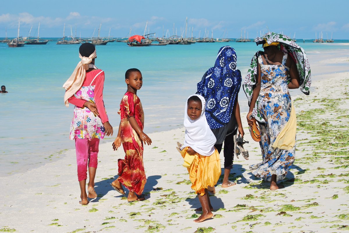 In Zanzibar, women are learning to grow a higher value seaweed species, which needs to grow in deeper waterThe income and resilience of local people to climate shocks has hence increasedDepending on what the seaweed is used for, it could be funded by C credits- Flower Msuya