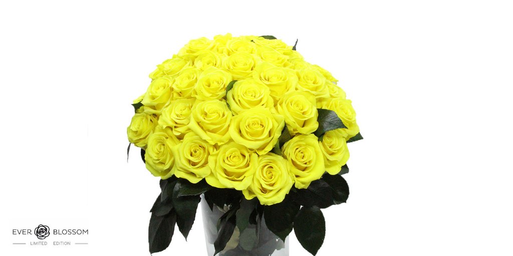 everblossomsas's tweet photo. We can complain because rose bushes have thorns, or rejoice because thorns have roses - Alphonse Karr. #luxembourg #roseseason #rosesfortessa #rosessoulwork #rosestmarket #flowersbouquet #flowerslove #flowerstyling #flowerstyles #flowersworld #flowershop #flowerstalking https://t.co/8BJqoITHu3
