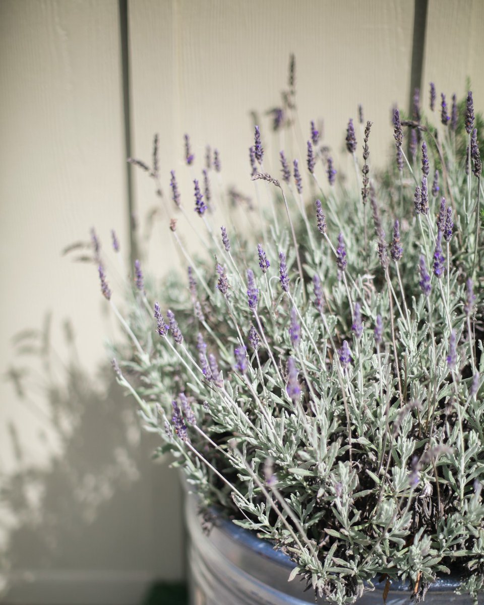 Our products are the perfect combination of science meets
nature: creating efficacy with kindness and balance for healthier and happier skin. #CircularTechnologies #Skincare #Organic #Natural #Ethical #SustainableBeauty