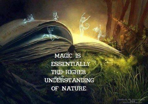 He was short, a little over four feet tall. His feet were bare. With too many toes. Toes that splayed out to root themselves into the earth. #fantasy-magical realism #FSFRL quote by <a href="/JudithPratt/">Judith Pratt</a> from Siljeea Magic