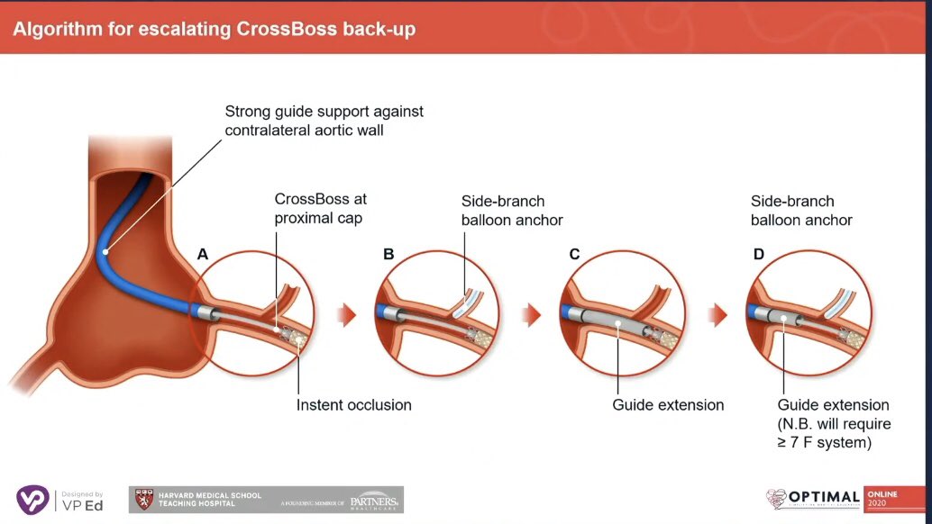 What an amazing day 4  @OptimaCTO fantastic talks & great live cases. Thank you very much  #optimalonline2020 for incredible 4 days of education. Learnt so much & looking forward to more  @jcspratt  @KambisMashayek1  @RinfretStephane  @mbmcentegart  @SmithElliotjs  @kevinjamescroce