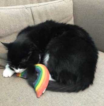 4. Soft power works. It was great fun to run Palmerston’s Twitter: a chance to showcase the modern, diverse and funny side of the office. And visitors from all over the world would stop at our office hoping to see a glimpse of him