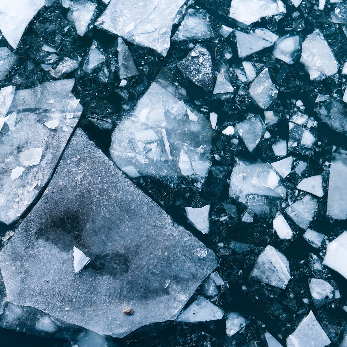 GetOnlinePod's tweet photo. Disruptors are being born every minute who will shatter limitations. That is what makes the world undeniably dynamic and progressive.  

What sort of marketing campaigns have you seen recently that has blown your mind, or has disrupted the way you think about a brand? https://t.co/LTEDPI6XZh