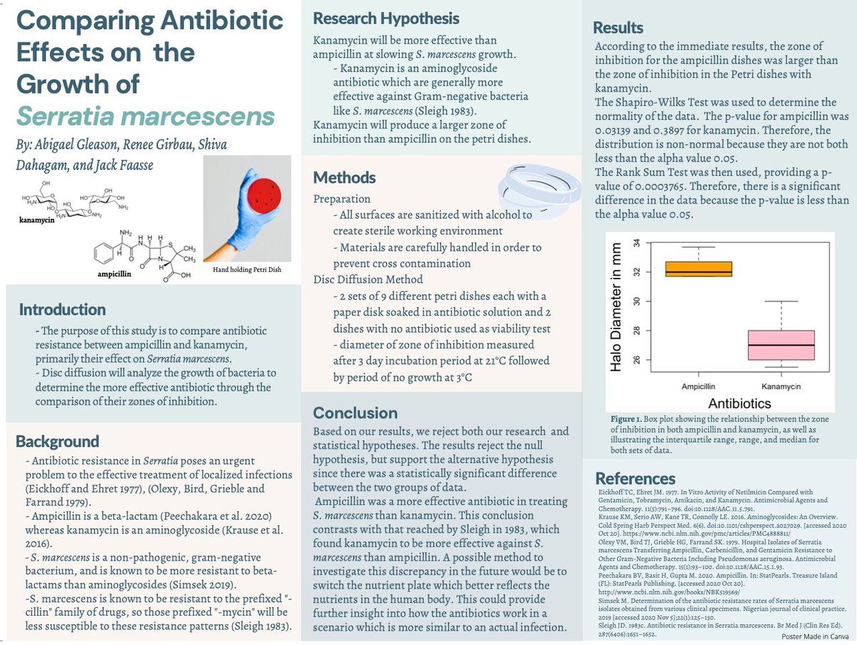 The purpose of the new research proposal titled, "Comparing Antibiotic Effects on the Growth of Serratia marcescens," was to compare the antibiotic resistance between ampicillin and kanamycin in combatting localized infections!  #antibioticresistance [1/6]