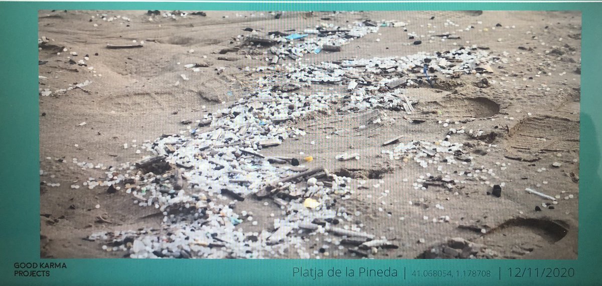 panelBASF's tweet photo. Estem parlant de molts aspectes en relació als #plàstics, però el Jordi Oliva de #GKprojects ens mostra aquesta imatge d’avui mateix de la platja de #LaPineda de #Vilaseca👇 #pellets https://t.co/B7Tq0ddOZm
