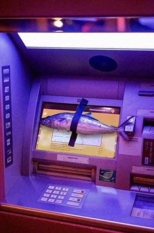 squigs12345's tweet photo. hey REGIONS BANK, how about you SERVICE your atms next to SKY BAR so punters like ME will not have to TAPE FISH to them so you’ll have NO CHOICE but to come and FIX THEM. i have more fish and tape and will power than you’re entire organization. FIX THEM NOW. https://t.co/pl58tlGpUY