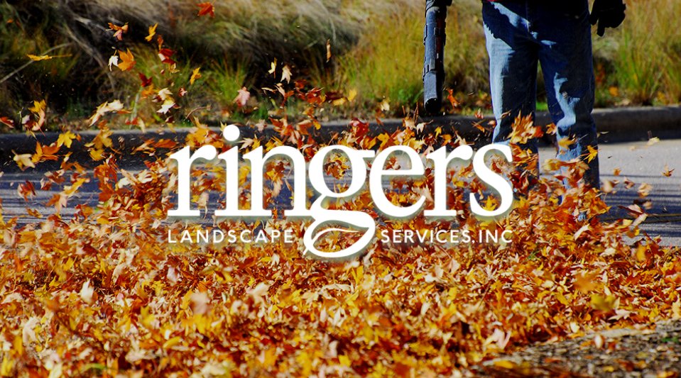 With the season coming to an end,

Allow Ringers to take care of all of your
•Removal of Sticks, Leaves, and Debris
•Trimming of Overgrown Bushes and Shrubs
•Weeding of Plant Beds
•Gutter Cleaning
•Sidewalks, Patios, Driveways, Blown Away