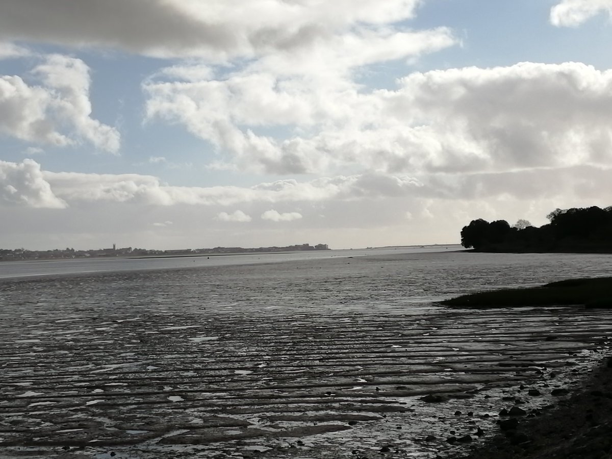 PascaleExeter's tweet photo. To make up for the terrible seal pics, a few more convincing #ReadingWalk images to lift up your soul https://t.co/Pkt0Kf9MzV