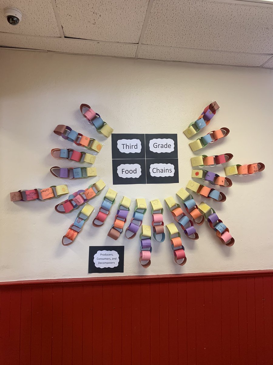 HaworthChristy's tweet photo. Third graders created food chain models today! @BristolSuper @mspamdavis https://t.co/U7PQ9Vgqsy